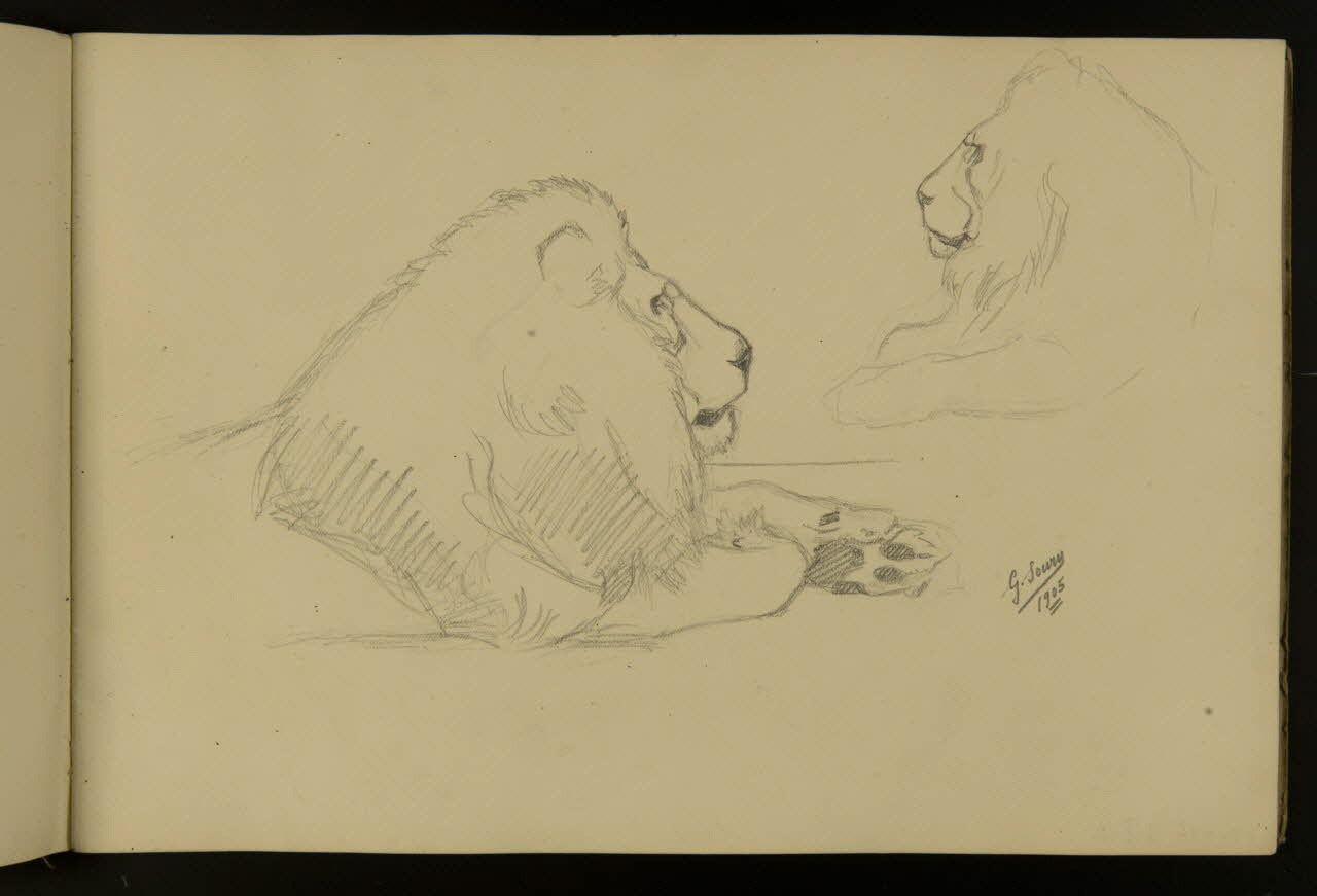 carnet de dessins Etude de lion de profil 1967.116.917.4 Photo