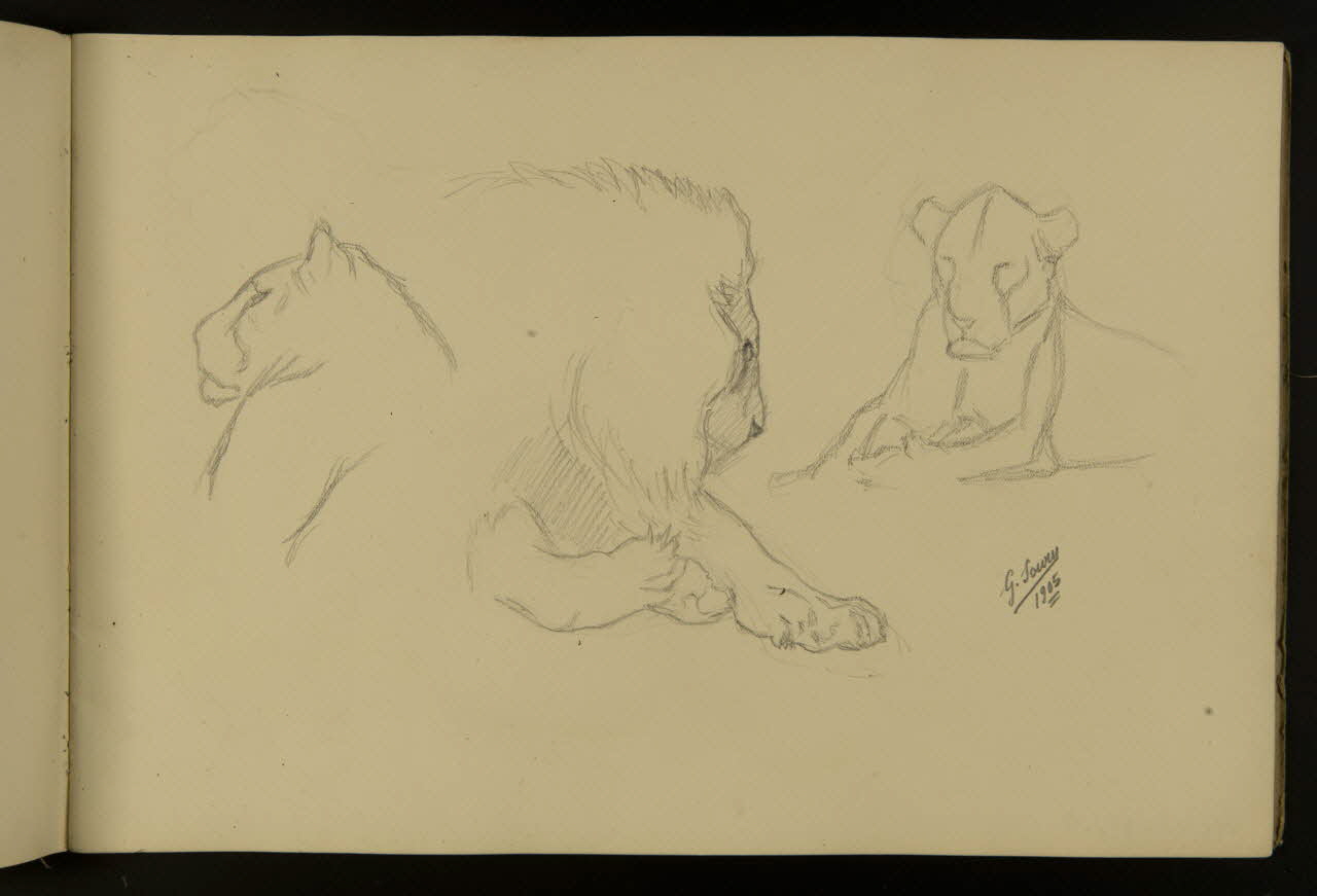 carnet de dessins Etude de lion et lionne 1967.116.917.5 Photo