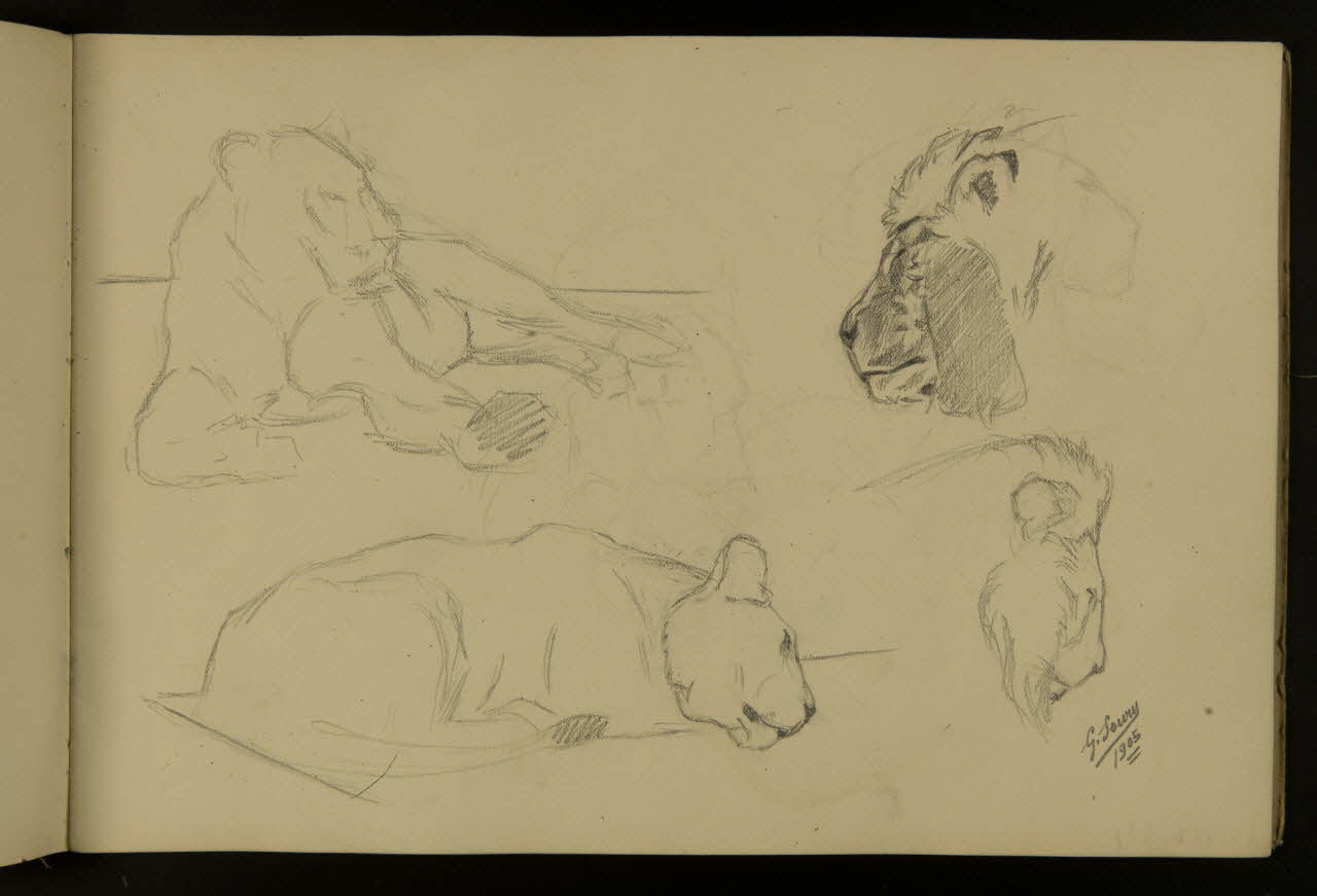 carnet de dessins Etude de lionne et tête de lion 1967.116.917.6 Photo