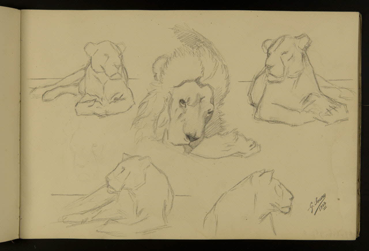 carnet de dessins Etude de lion et lionne 1967.116.917.7 Photo