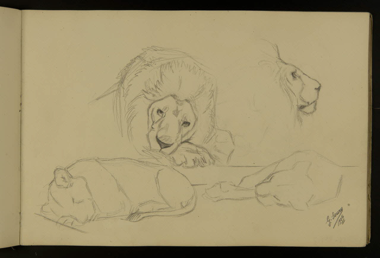 carnet de dessins Etude de lion et lionne 1967.116.917.8 Photo