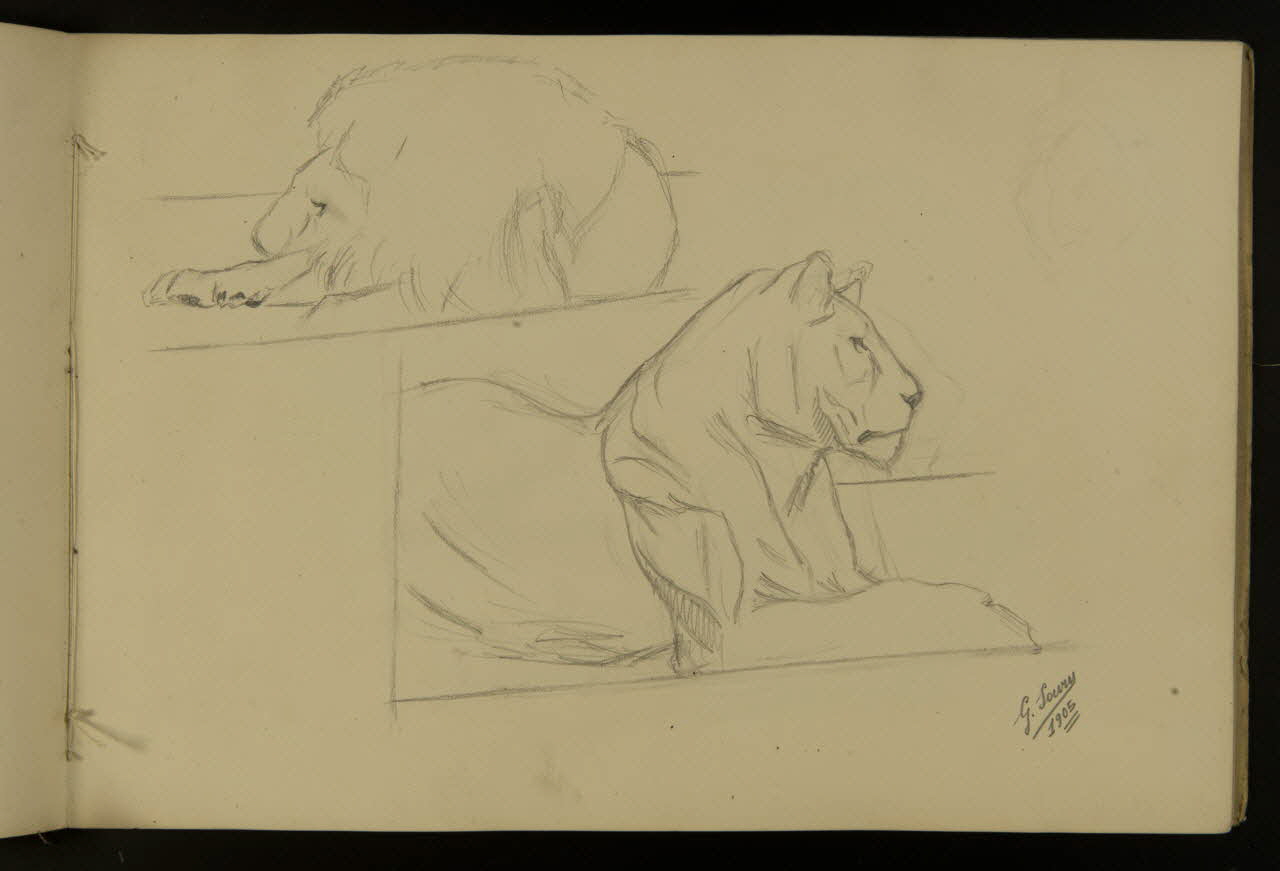 carnet de dessins Etude de lion et lionne 1967.116.917.9 Photo