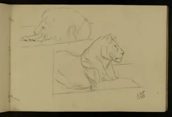 carnet de dessins Etude de lion et lionne 1967.116.917.9 Photo