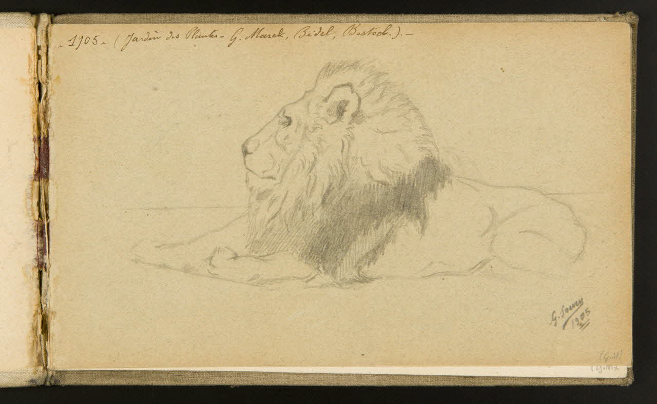 carnet de dessins Etude de lion 1967.116.918.1 Photo