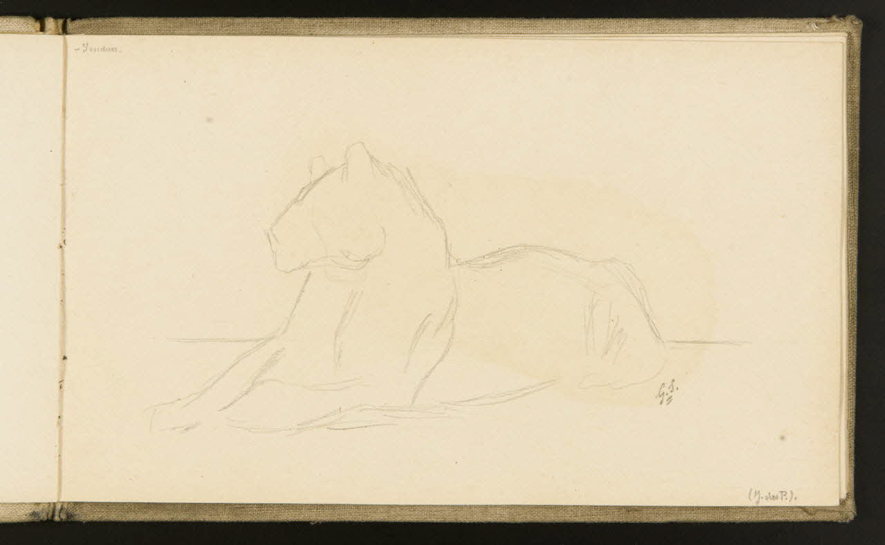 carnet de dessins Etude de lionne 1967.116.918.10 Photo