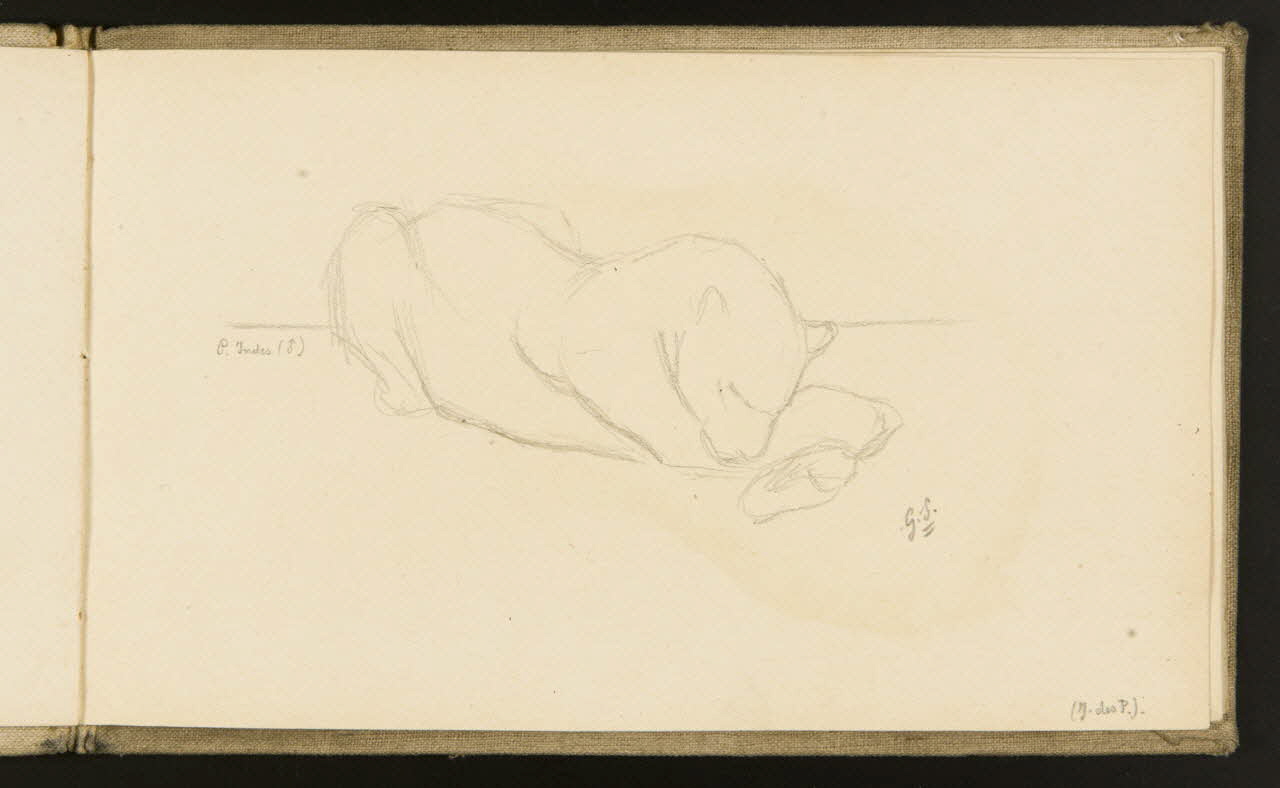 carnet de dessins Etude de lionne 1967.116.918.11 Photo