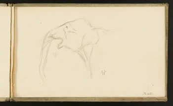 carnet de dessins Etude d'éléphant 1967.116.918.12 Photo