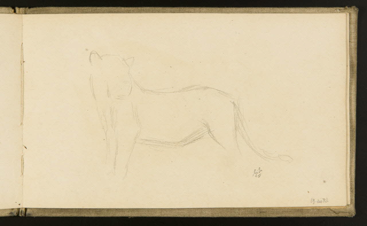 carnet de dessins Etude de fauve 1967.116.918.15 Photo