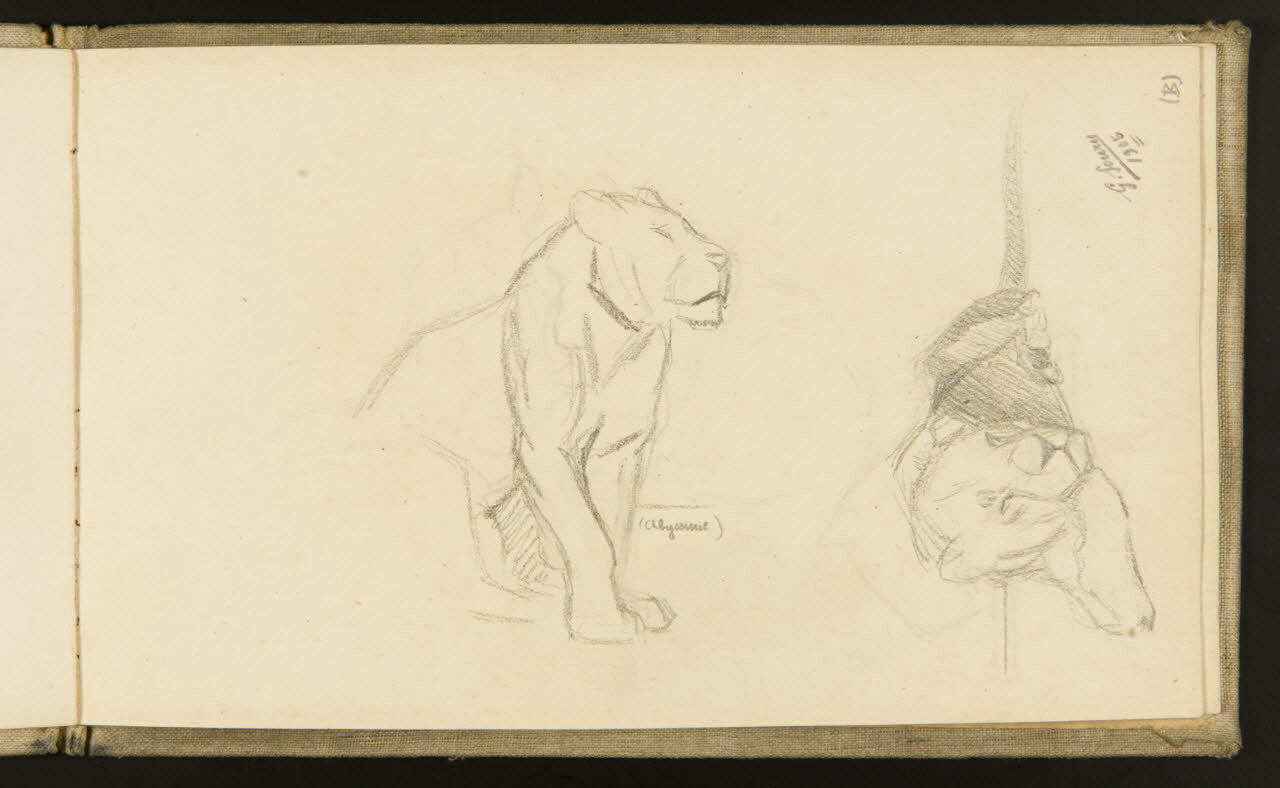 carnet de dessins Etude de lionnes 1967.116.918.18 Photo