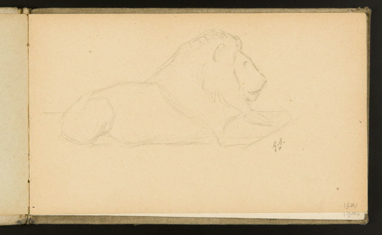 carnet de dessins Etude de lion 1967.116.918.2 Photo