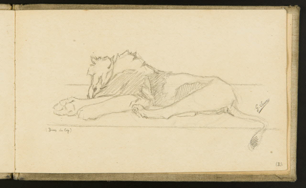 carnet de dessins Etude de lion couché 1967.116.918.25 Photo