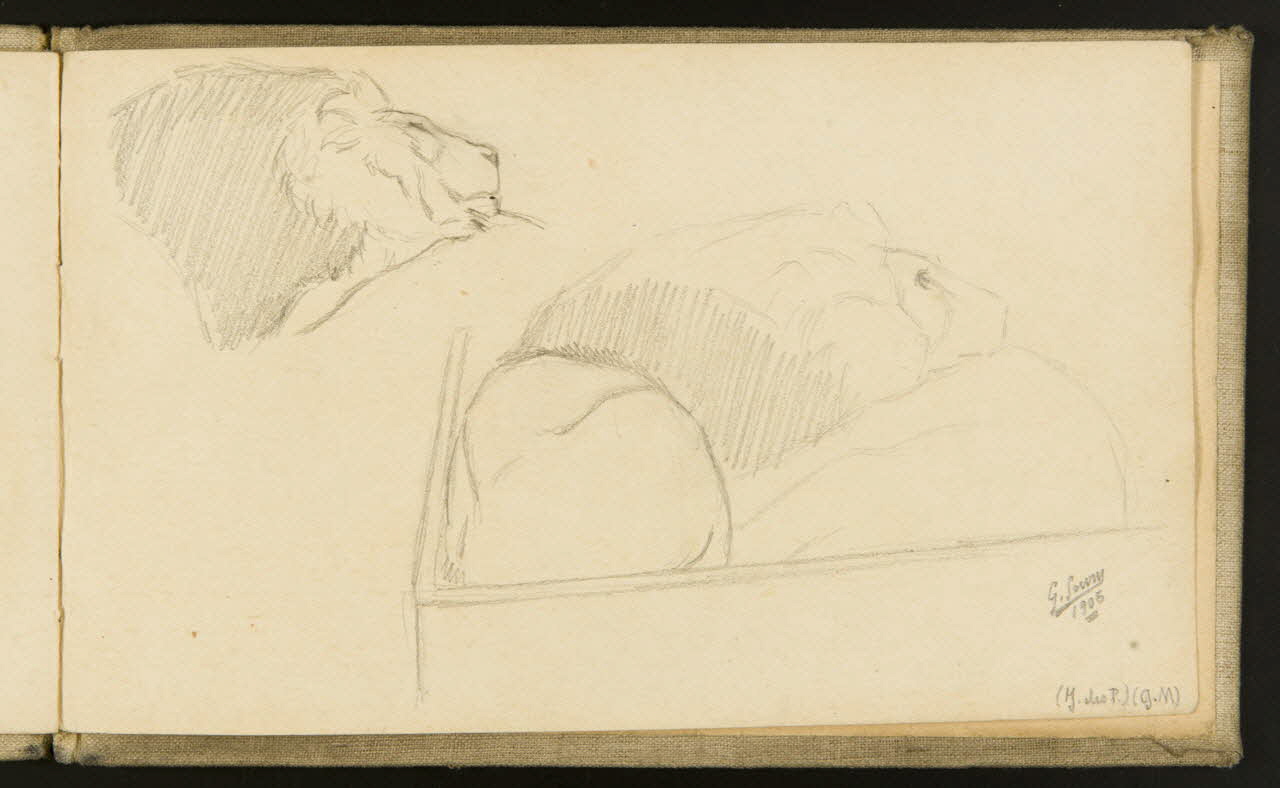 carnet de dessins Etude de lion 1967.116.918.26 Photo