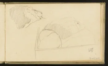 carnet de dessins Etude de lion 1967.116.918.26 Photo