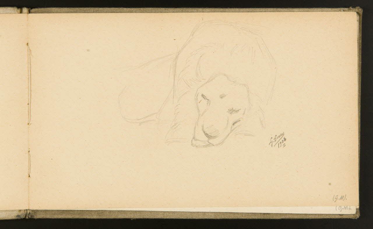 carnet de dessins Etude de lion 1967.116.918.3 Photo