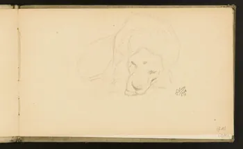 carnet de dessins Etude de lion 1967.116.918.3 Photo