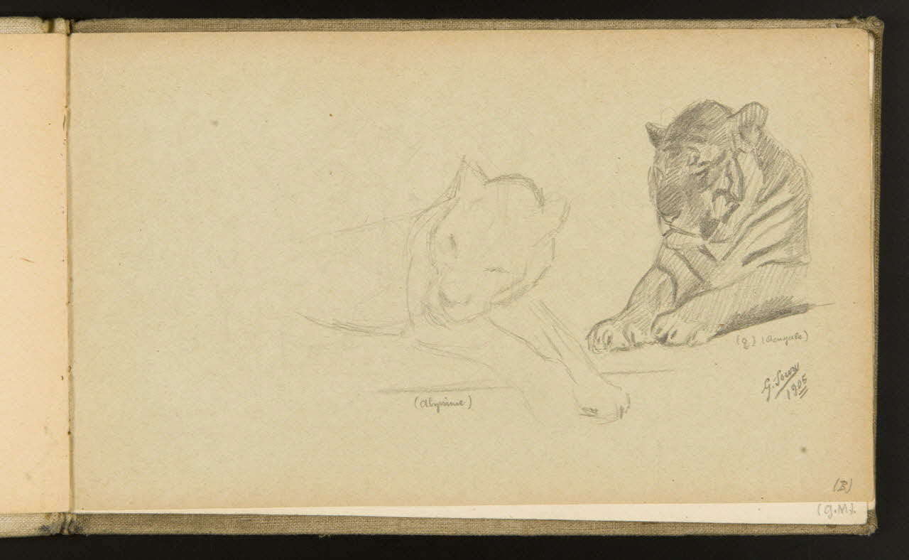 carnet de dessins Etude de tigre 1967.116.918.4 Photo