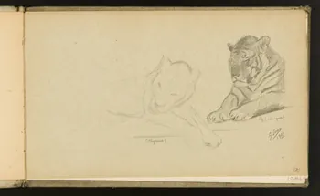 carnet de dessins Etude de tigre 1967.116.918.4 Photo