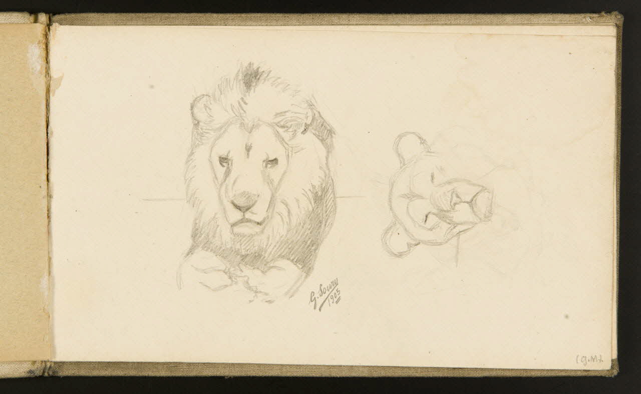 carnet de dessins Etude de lion et de lionne 1967.116.918.5 Photo