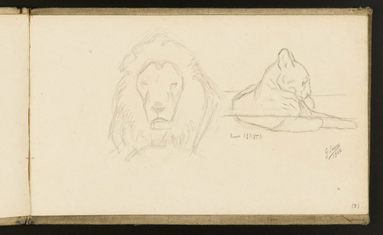 carnet de dessins Etude de lion et de lionne 1967.116.918.6 Photo