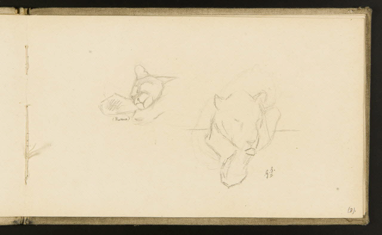 carnet de dessins Etude de puma 1967.116.918.9 Photo
