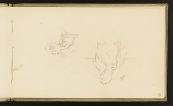 carnet de dessins Etude de puma 1967.116.918.9 Photo
