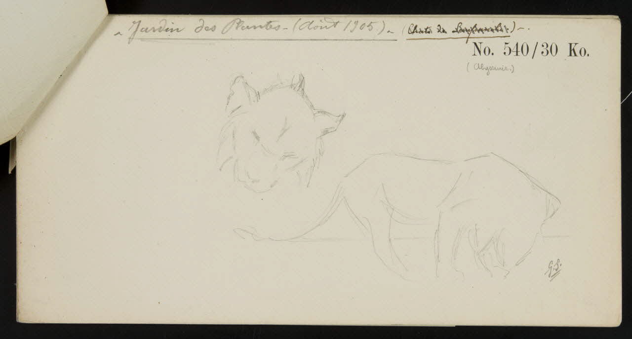 carnet de dessins Esquisse de lionne 1967.116.919.1 Photo