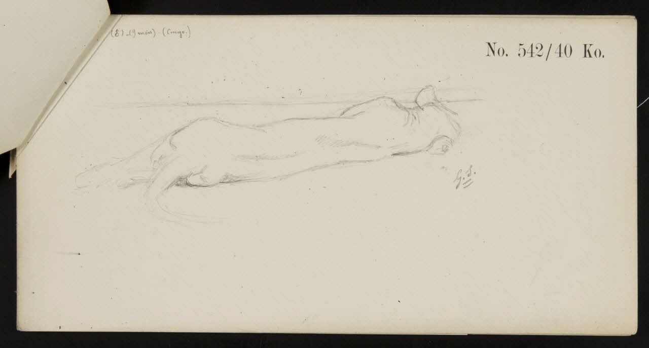 carnet de dessins Esquisse de lionne allongée 1967.116.919.2 Photo