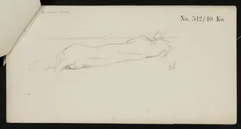 carnet de dessins Esquisse de lionne allongée 1967.116.919.2 Photo