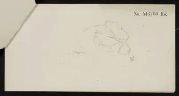 carnet de dessins Esquisse de lion couché 1967.116.919.5 Photo