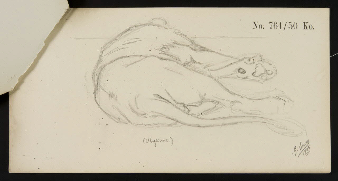carnet de dessins Esquisse de fauve allongé 1967.116.919.6 Photo