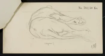 carnet de dessins Esquisse de fauve allongé 1967.116.919.6 Photo