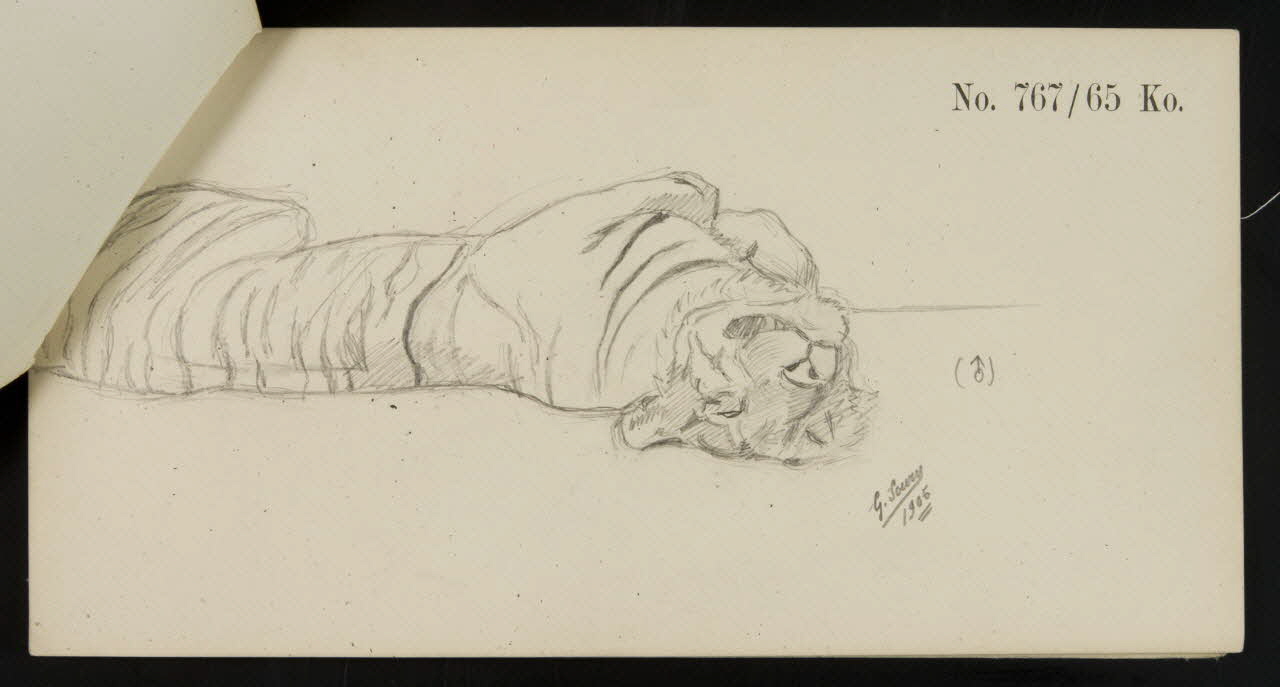 carnet de dessins Esquisse de tigre couché sur le dos 1967.116.919.8 Photo