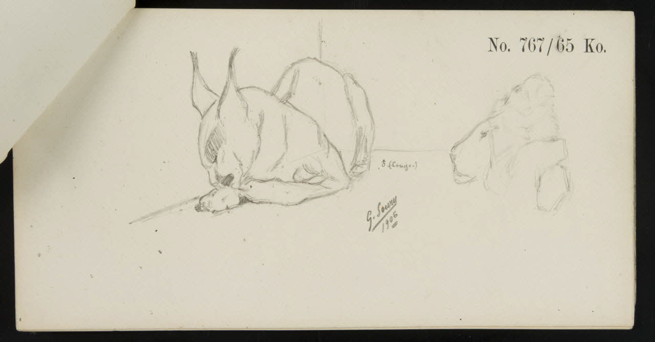 carnet de dessins Esquisse de félin 1967.116.920.10 Photo