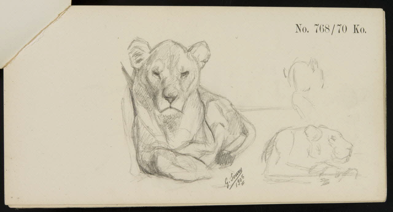 carnet de dessins Esquisse de lionne 1967.116.920.11 Photo