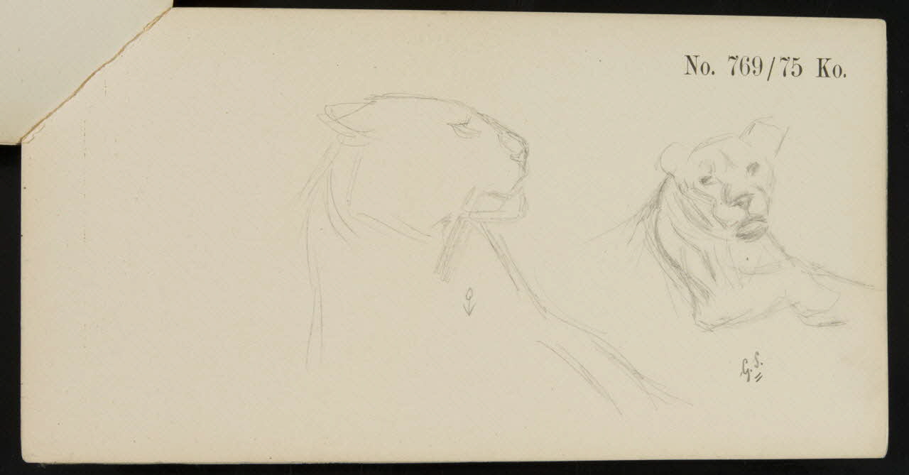 carnet de dessins Esquisse de lionne 1967.116.920.12 Photo