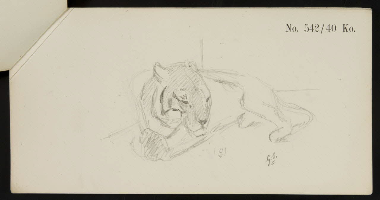 carnet de dessins Esquisse de lionne allongée 1967.116.920.2 Photo
