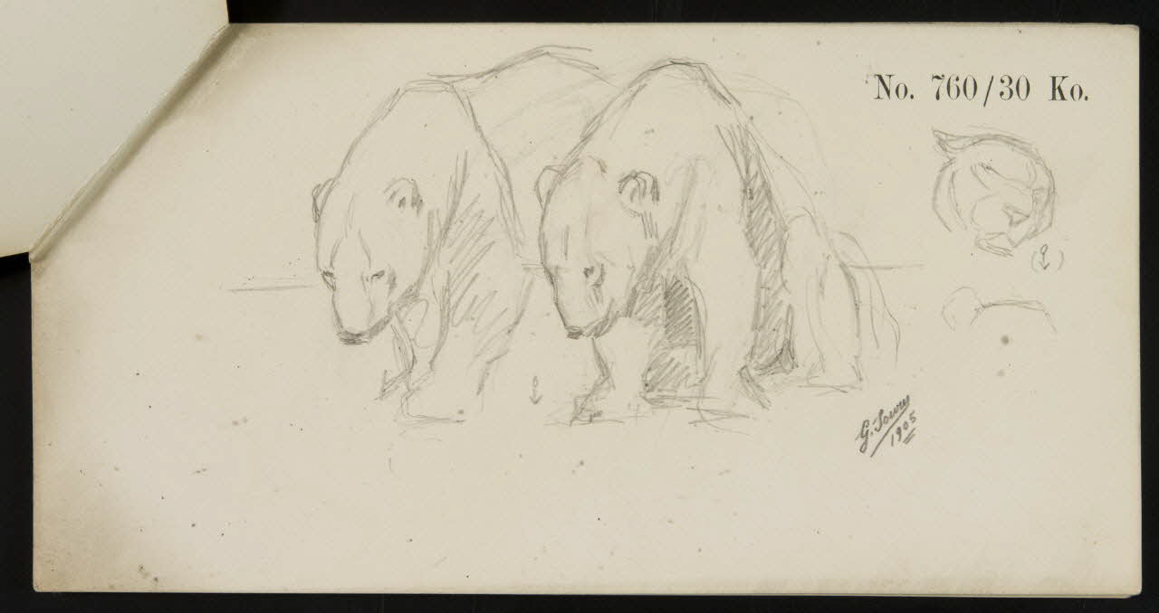 carnet de dessins Esquisse d'ours blancs 1967.116.920.3 Photo