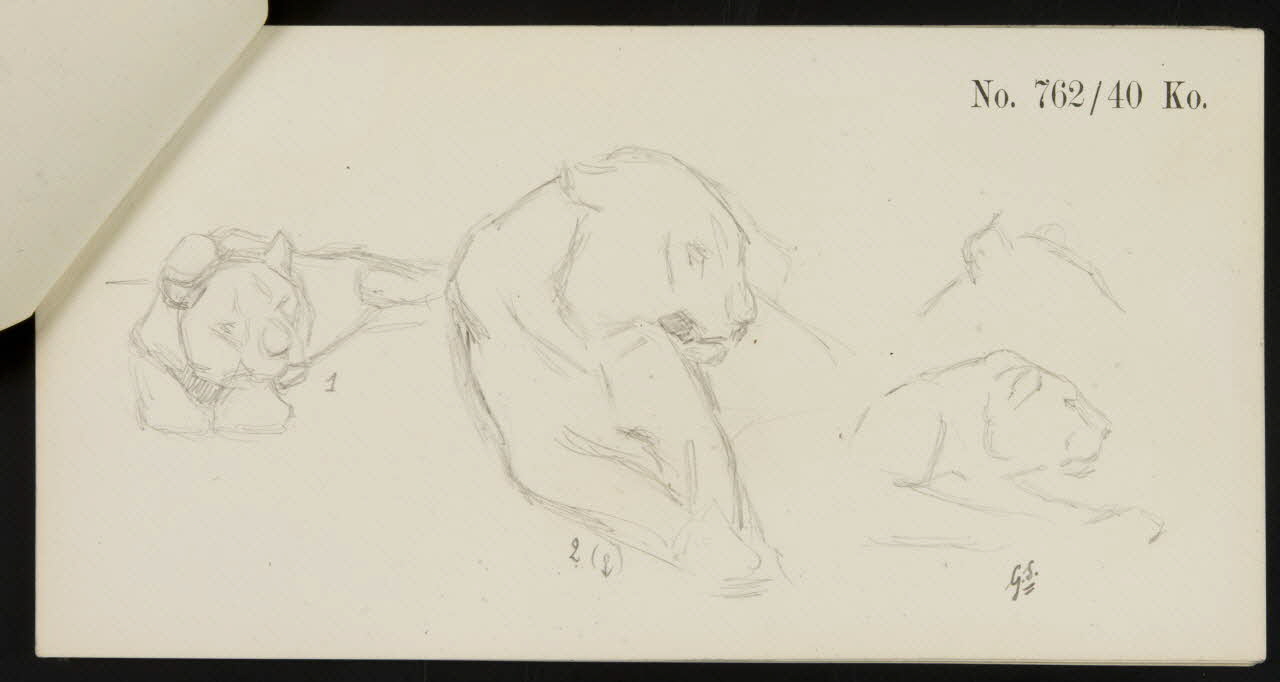 carnet de dessins Esquisse de lionne 1967.116.920.5 Photo