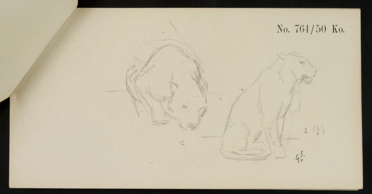 carnet de dessins Esquisse de lionne 1967.116.920.7 Photo