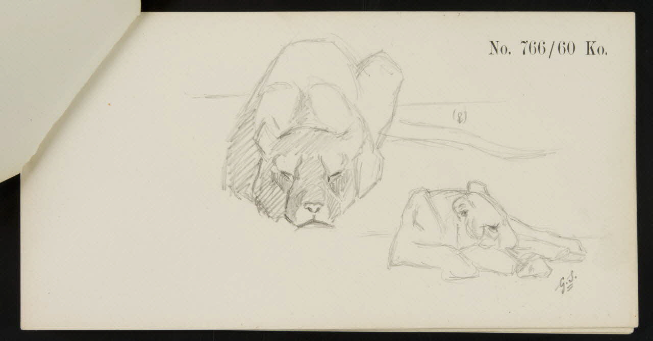 carnet de dessins Esquisse de lionne allongée 1967.116.920.9 Photo