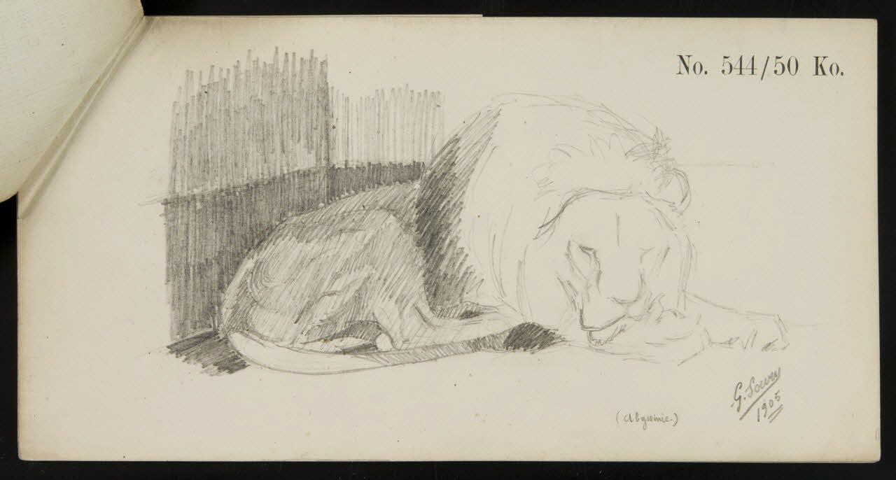 carnet de dessins Esquisse de lion endormi 1967.116.921.1 Photo
