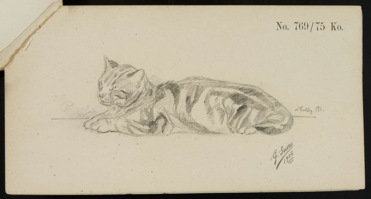 carnet de dessins Esquisse de chat endormi 1967.116.921.10 Photo