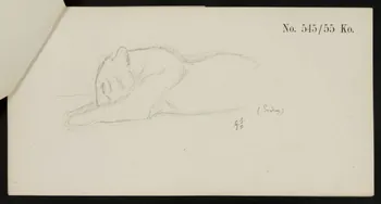 carnet de dessins Esquisse de félin endormi 1967.116.921.2 Photo