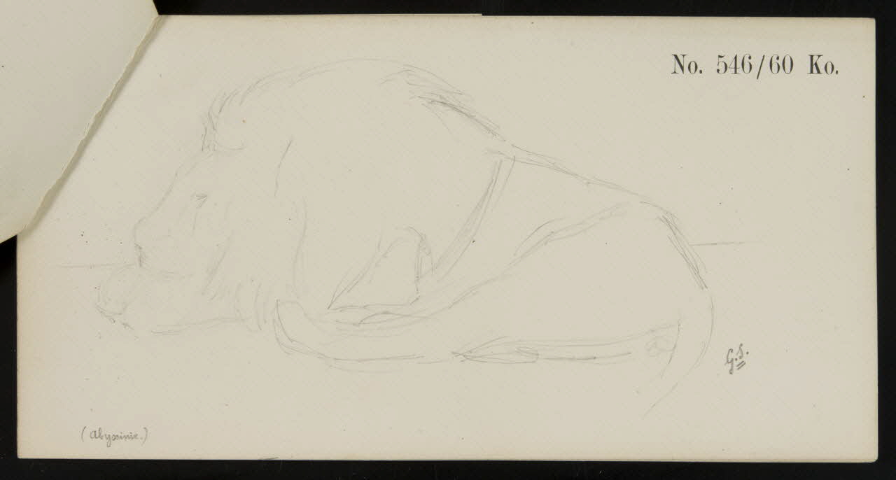 carnet de dessins Esquisse de lion endormi 1967.116.921.3 Photo