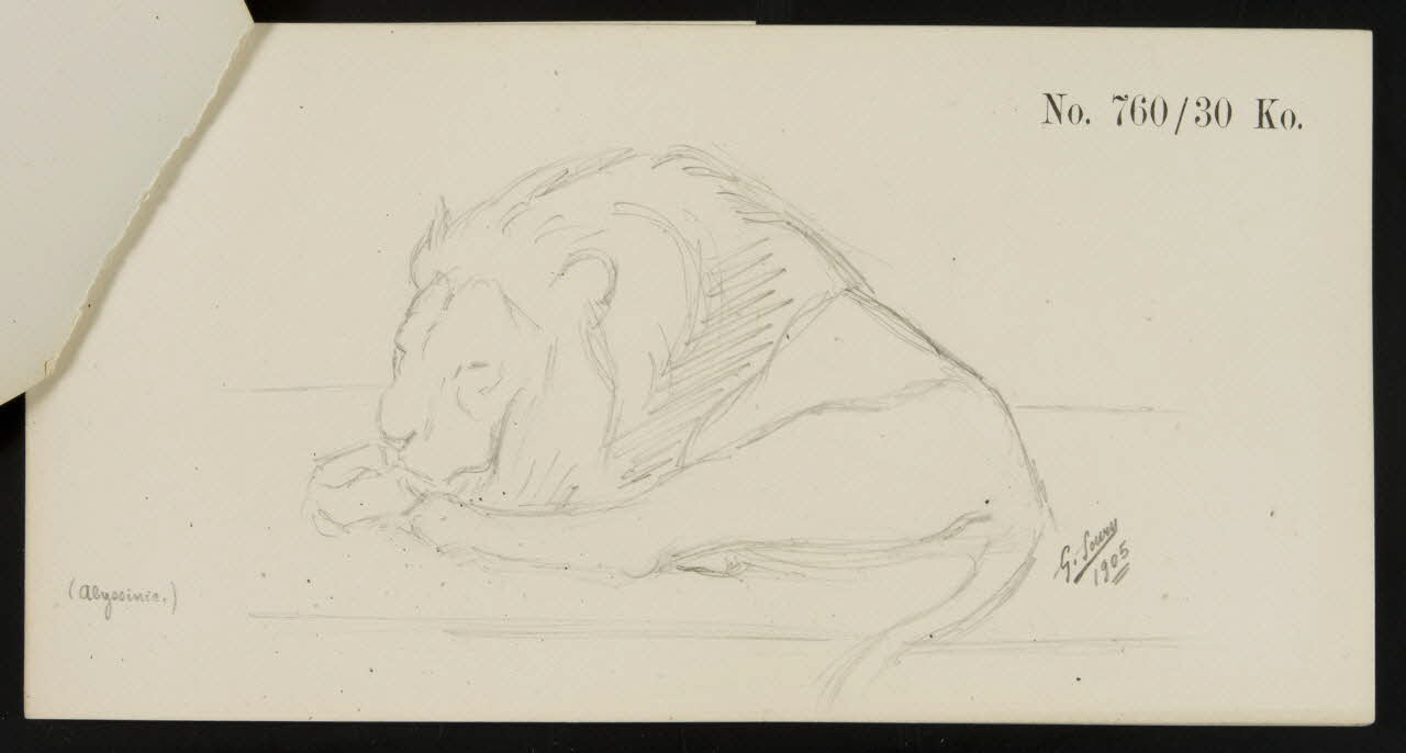 carnet de dessins Esquisse de lion endormi 1967.116.921.4 Photo