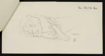 carnet de dessins Esquisse de lion endormi 1967.116.921.5 Photo