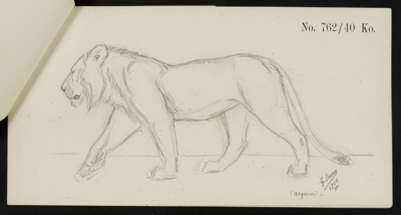 carnet de dessins Esquisse de jeune lion 1967.116.921.6 Photo