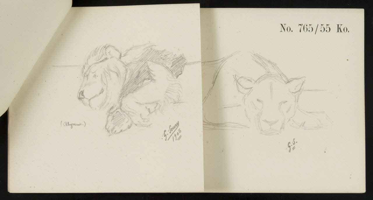 carnet de dessins Esquisse de lion endormi 1967.116.921.7.1 Photo