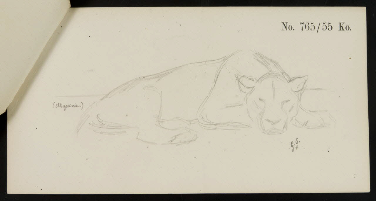 carnet de dessins Esquisse de lionne endormie 1967.116.921.7.2 Photo