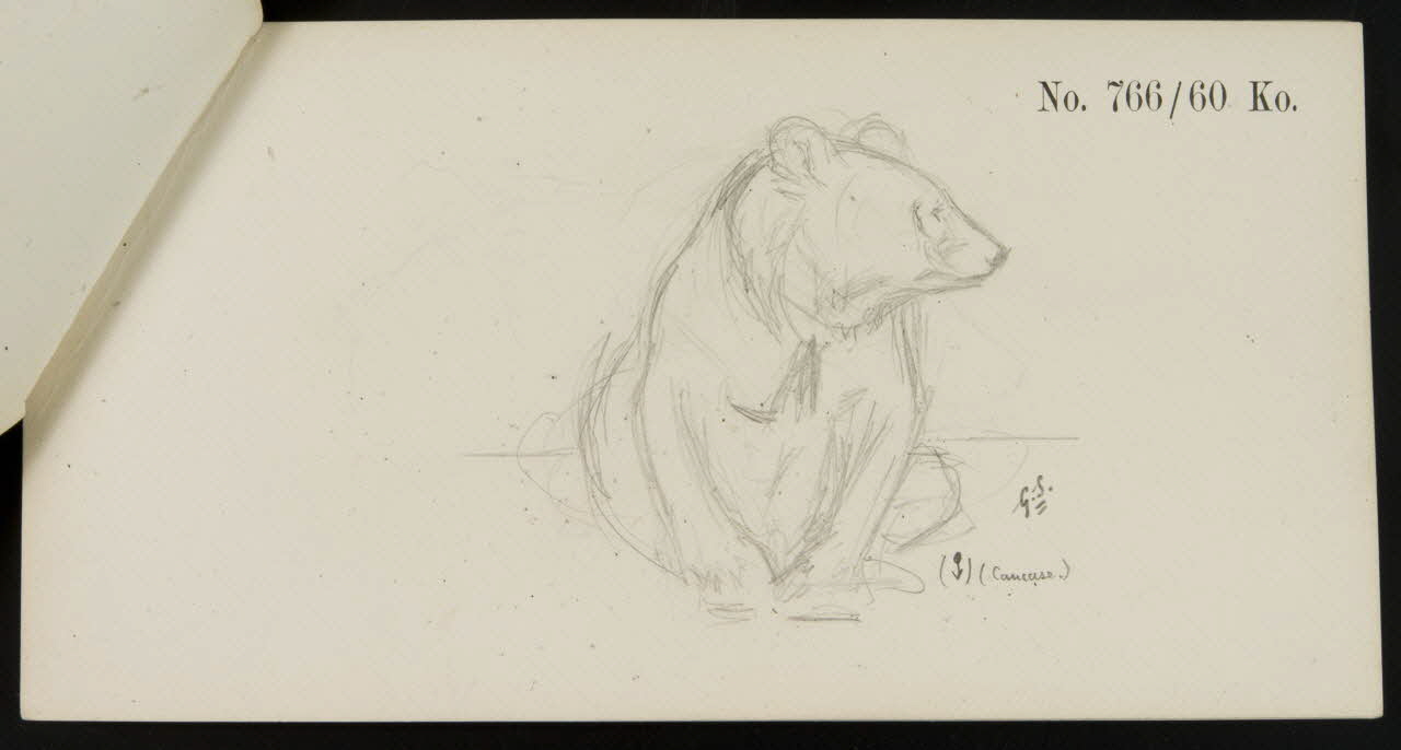 carnet de dessins Esquisse d'ours brun 1967.116.921.8 Photo
